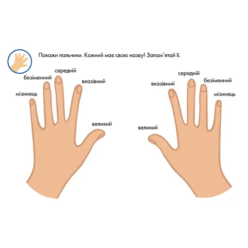 Багаторазові прописи "Тренажер для рук" 1155004, 31 картка - фото 7