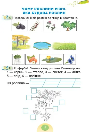 Я досліджую світ 1 клас. Зошит-практикум. Частина 2 - фото 2