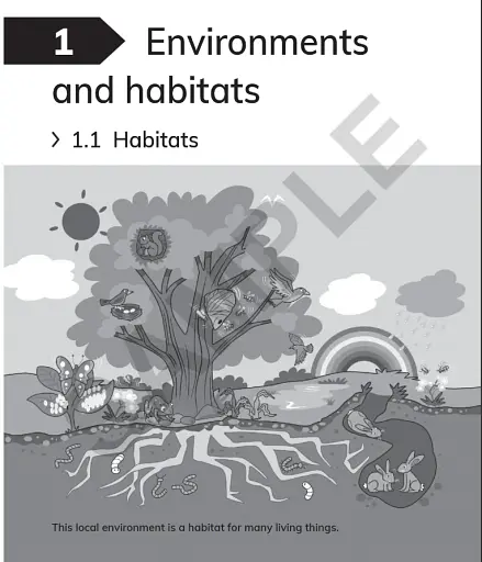 Cambridge Primary Science 2. Workbook with Digital Access (1 Year) - фото 3