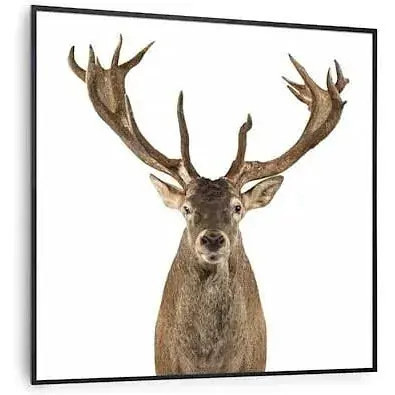 Инфракрасный обогреватель Klarstein Air Art Smart 7 м² 350 Вт (10037831)