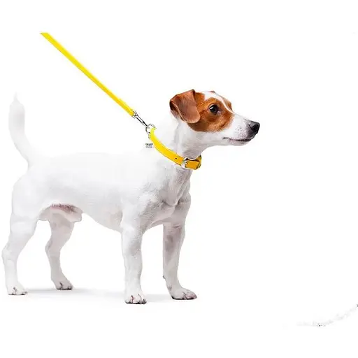 Повідець для собак Waudog Glamour шкіряний, жовтий - фото 4