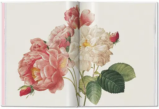 Pierre-Joseph Redouté. Roses. The Complete Plates 1817-1824 - фото 3
