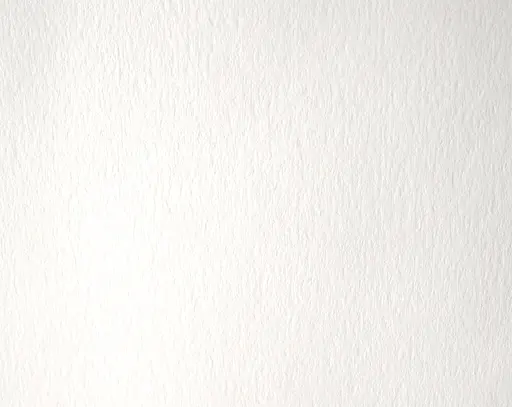 Акварельна фарба Sennelier, полукювета, S1, Китайський білий (Chinese White) - фото 2