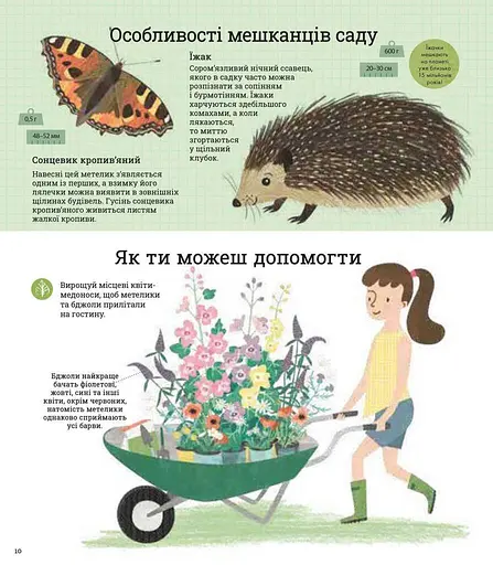 Як допомогти їжачкові та захистити полярного ведмедя - фото 2