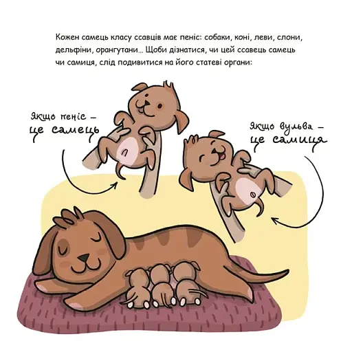 Корисні навички. Це - пеніс! - фото 2