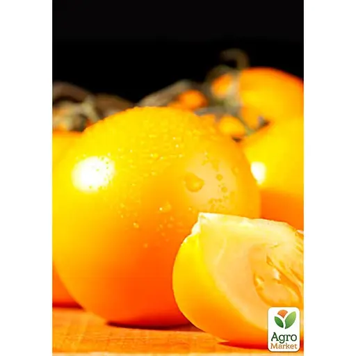 Томат жовтий "Суміш кращих популярних сортів" ТМ "Весна"  2г (45515) - фото 2