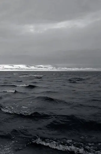 Книга Псалом авіації - Сергій Жадан (Meridian Czernowitz) - фото 2