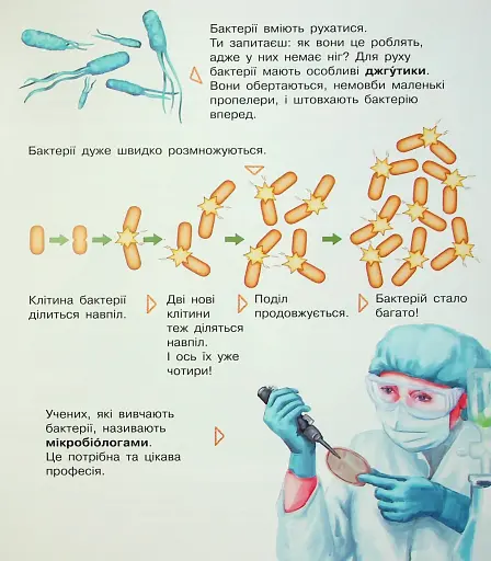 Енциклопедія дошкільника. Мікроби - фото 12