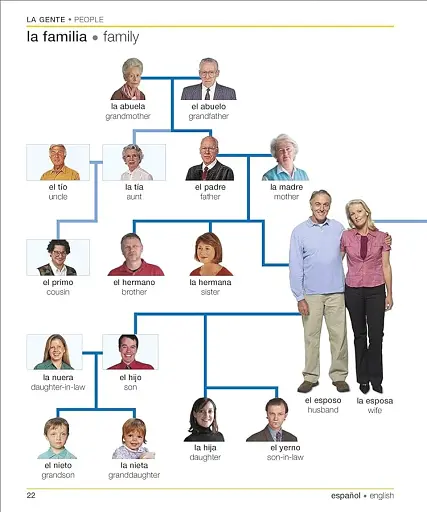 Spanish-English Visual Bilingual Dictionary with Free Audio APP - фото 13