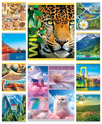 Зошити учнівські 60 аркушів клітинка Тверда Мікс 1, 10 шт. в упаковці