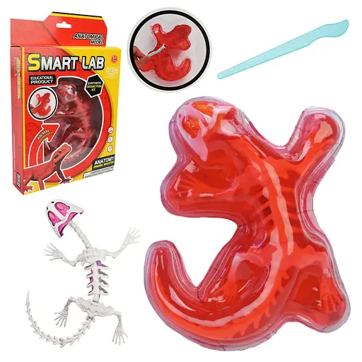 Дитячий лабораторнний набір Ящірка 803B, скелет, внутрішні органи