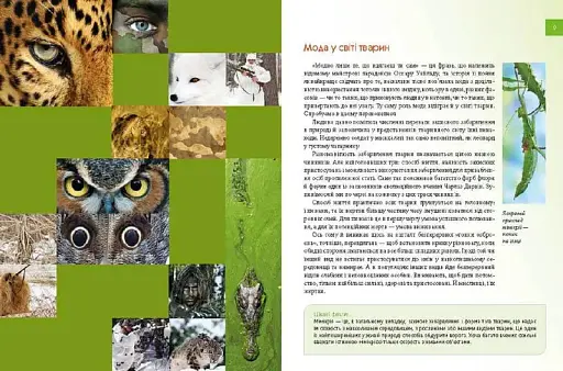 Енциклопедія для допитливих А5 : Тварини - майстри маскування (Українська ) - фото 2