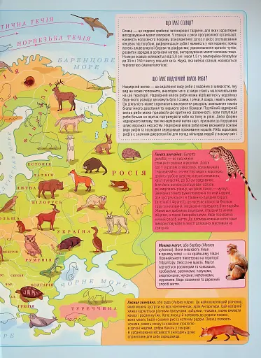 Атлас. Тварини семи континентів - фото 3