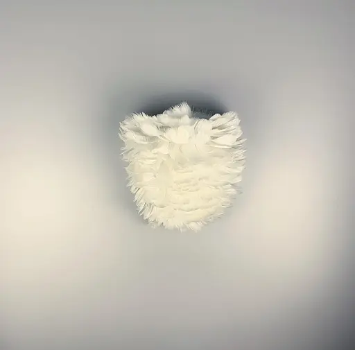 Настінний світильник із натурального білого пірʼя Line F WJU 83 WT - фото 3