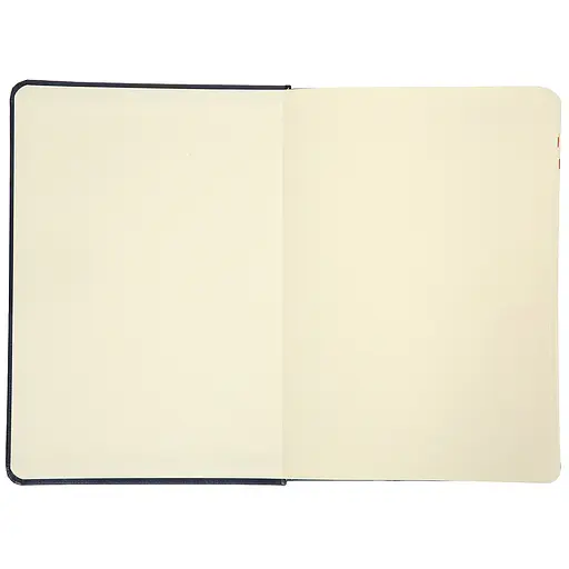 Щоденник А5 Leo Planner датований 2025 Persona синій 368 сторінок (252662) - фото 3