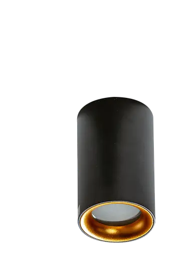 Точковий світильник AZzardo AZ4261 Eiger Ip54 Bk/Go - фото 1