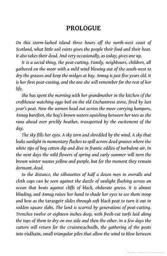 The Lewis Man. Book 2