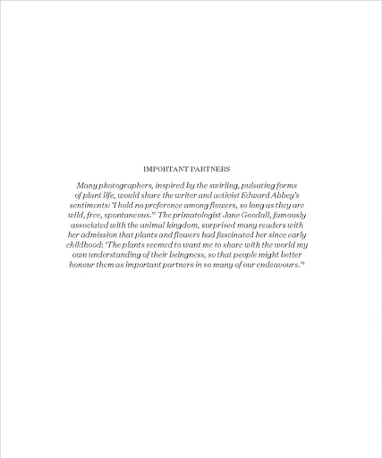 Flora Photographica - фото 21