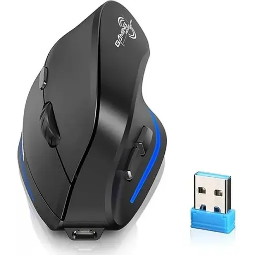 Вертикальная беспроводная мышь ECHTPower F35 Black