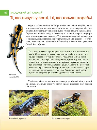 Загадковий світ амфібій - фото 4