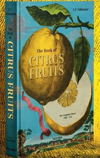 J. C. Volkamer. The Book of Citrus Fruits - фото 2