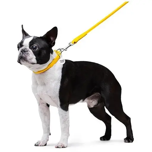 Повідець для собак Waudog Glamour шкіряний круглий, жовтий - фото 5