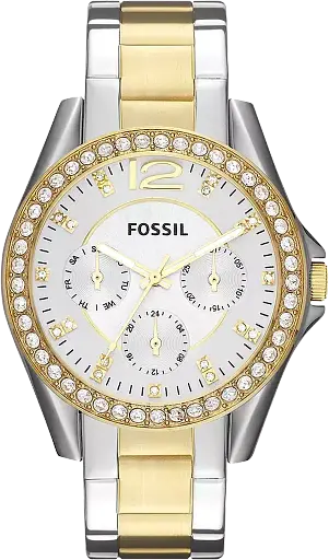 Часы Fossil Riley ES3204