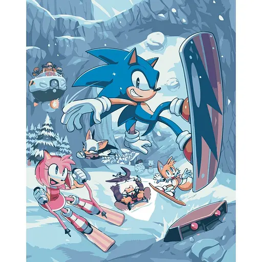 Картина по номерам "Приключения Соника" 16123-AC 40х50 см