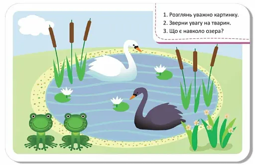 Гра-запам'ятайка. Світ довкола - фото 5