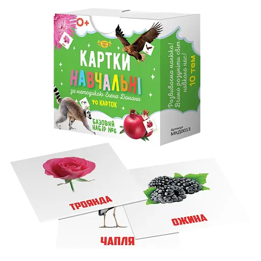Картки навчальні Глена Домана №6 Майстер MKD0013 укр