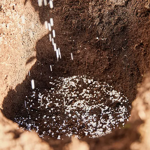 Активатор корней COMPO ТURBO 700 г - фото 15