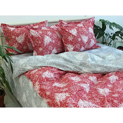 Комплект постільної білизни TAG Tekstil з компаньйоном Євро 000224271 (R-T9263)