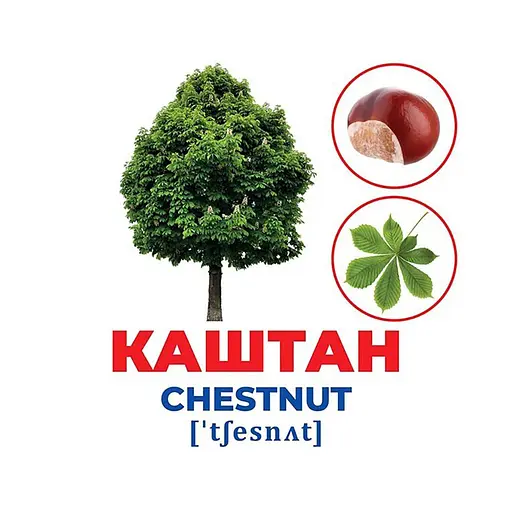 Набор развивающих карточек Гений с пеленок Деревья и кустарники Ранок 10107196, 17 карточек - фото 2