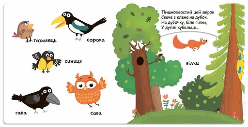 Тварини в лісі. Сторінки-цікавинки - фото 2