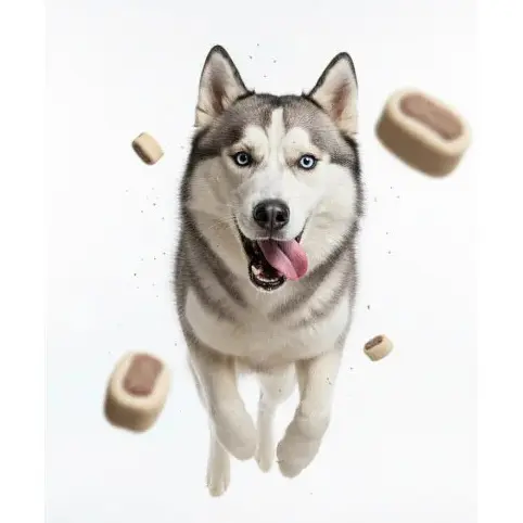 Лакомство для собак Печенье Ginger Cookies Mix Roll Mini 130 г  - фото 5