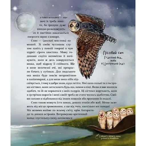 Дитяча книга "Такі, як ми. Про тварин та їхні характери" Час майстрів 253615 - фото 4