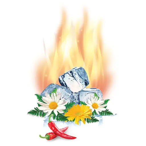 Бальзам зігріваючий Swiss Energy Herbs Hot Balm Forte Back & Joints швейцарські трави, вітаміни, капсаїцин 75 мл - фото 2