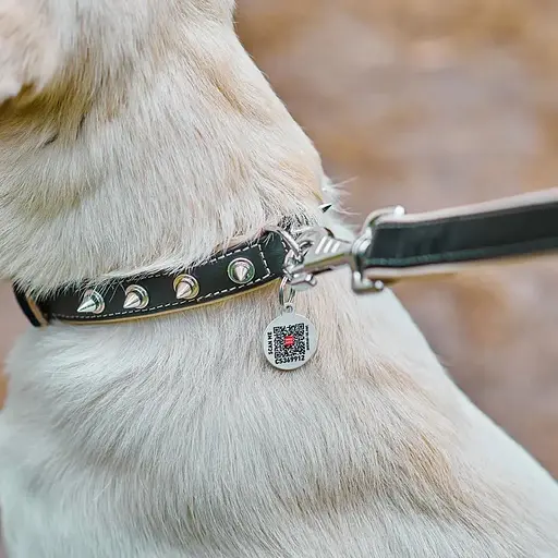 Ошейник для собак Waudog Soft с QR паспортом кожаный с шипами Ш 35 мм, Д 46-60 см черный - фото 5