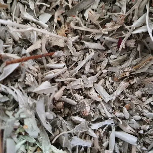 100 г лох серебристый/дикая маслина листья сушеные - свежий урожай