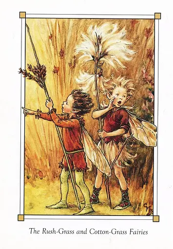 Flower Fairies of the Winter - фото 12