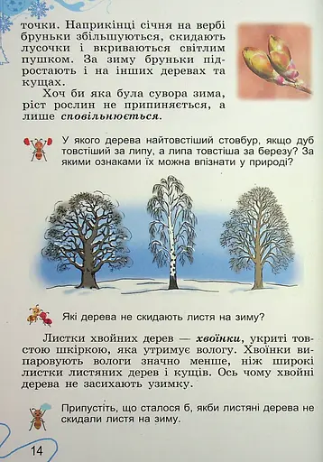 Я досліджую світ. 2 клас. Частина 2 - фото 14