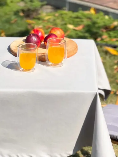 Водоотталкивающая cкатерть Серый однотон 200х120 см (+ 5 салфеток 30х40) - фото 2