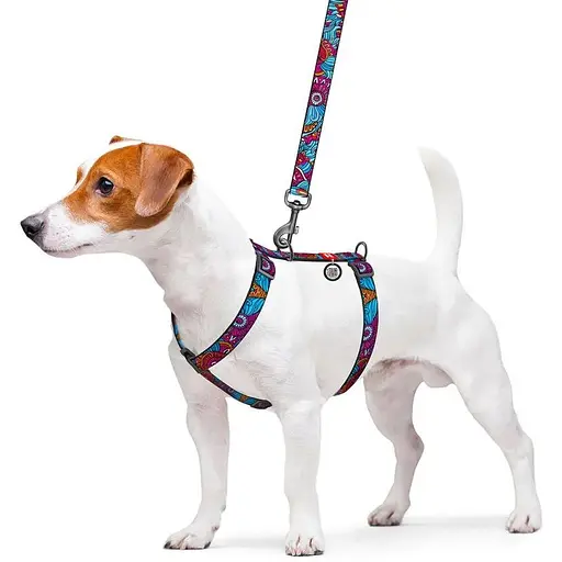 Шлея для собак Waudog Nylon анатомічна H-подібна з QR-паспортом, малюнок "Літо", пластиковий фастекс, М - фото 3