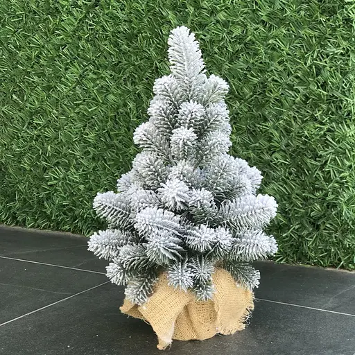 Ялинка Hvoya Premium лита в мішковині 50 см засніжена