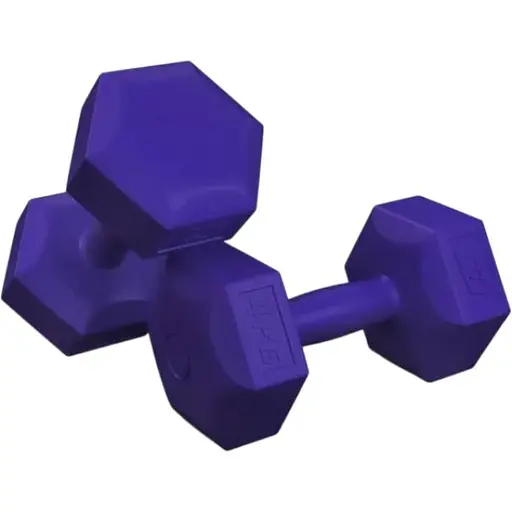 Гантелі для фітнесу композитні Hop-Sport HS-C040DS 2х4кг фіолетовий