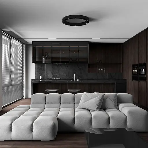 Потолочная люстра Skarlat RSLC74110 6×3W BK 4000K - фото 3