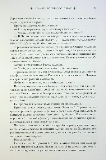 Крадій зоряного пилу - фото 8