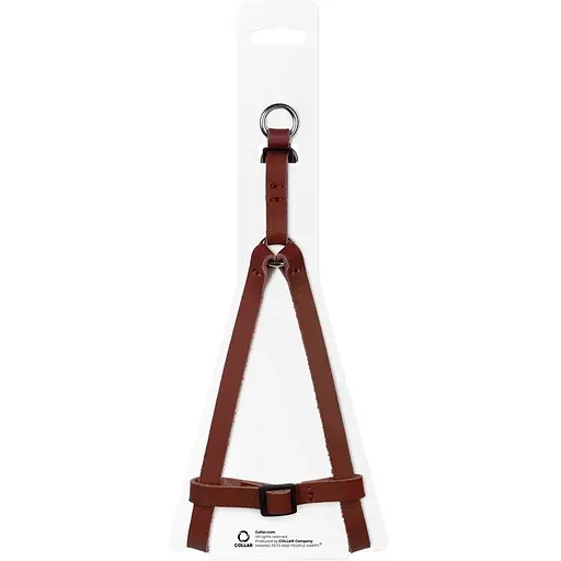 Шлейка для кошек и мелких собак Waudog Classic кожаная с QR паспортом, пластиковый фастекс, XS коричневый - фото 3