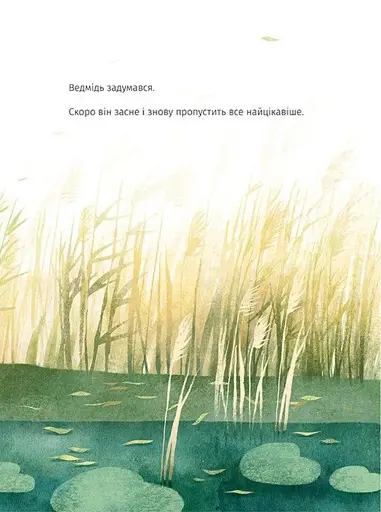 Ведмідь не хоче спати - фото 7