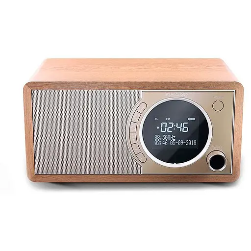 Радиоприемник Sharp DR-450 Brown - фото 2